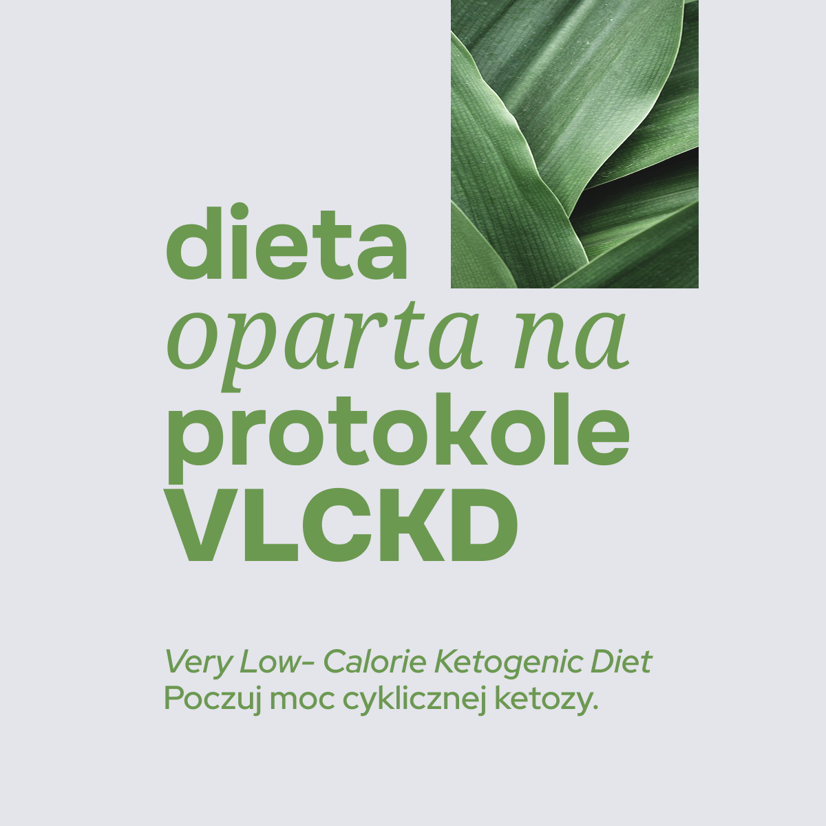 POTRÓJNE WYZWANIE z musem